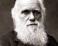Charles Darwin, associated with the observation that it is those most responsive to change, not the strongest, that survive